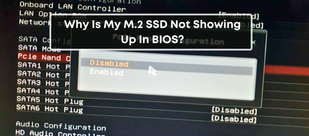 Why Is My M.2 SSD Not Showing Up In BIOS?